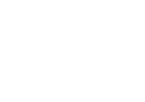 179-Logo Domaine Nebout Blanc 500x350 Vins Saint pourcain Allier Auvergne