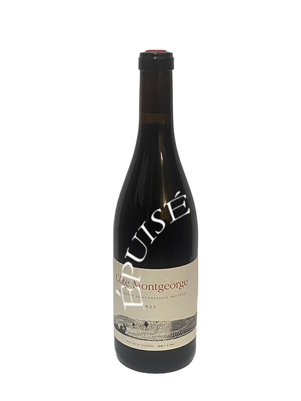 501 Cote Montgeorge Epuise Domaine Nebout Vignoble Vins Vigneron Saint Pourcain Allier Auvergne