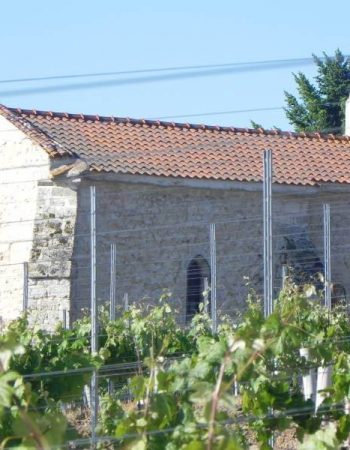 246-Briailles Domaine Nebout Vins Saint pourcain Allier Auvergne